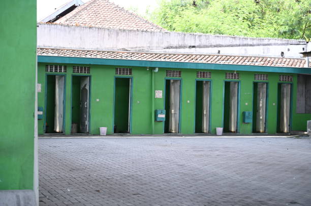 Best Porta potty cleaning services  in Plentywood, MT